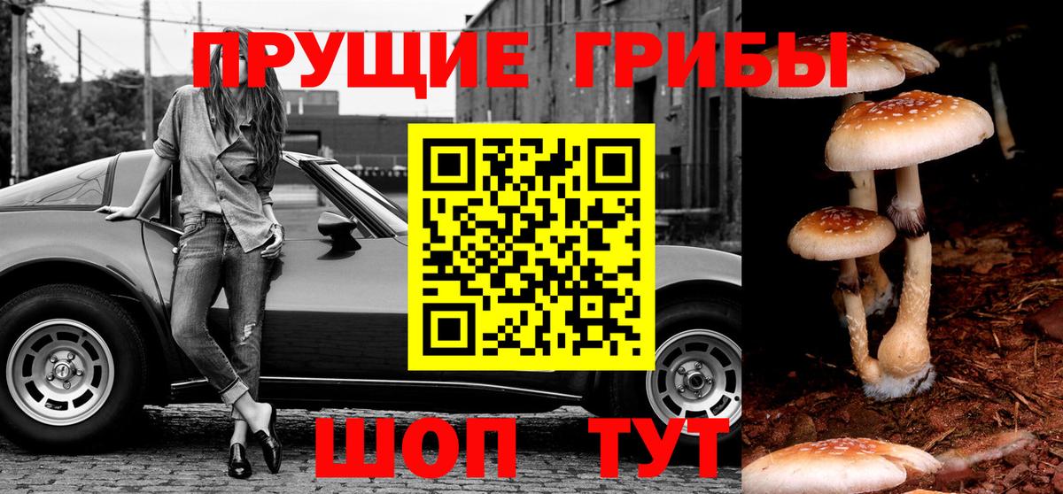 Псилоцибиновые грибы Magic Shrooms  Вход с VPN  Армавир 