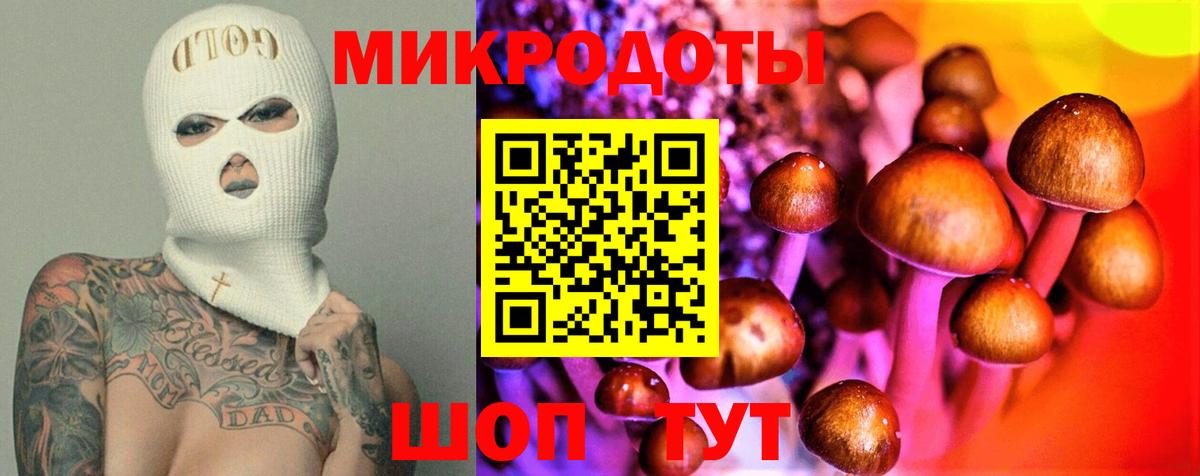 Псилоцибиновые грибы мухоморы Армавир